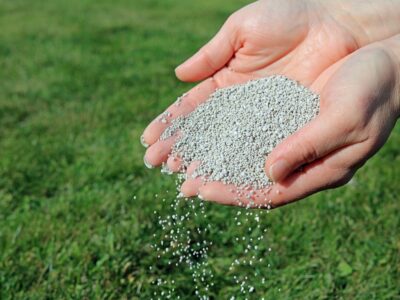 Liquid Lawn Fertilizer Vs. Granular Fertilizer