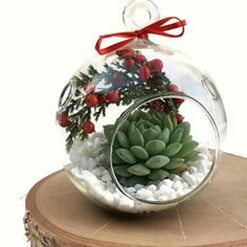 Hanging Christmas Terrarium