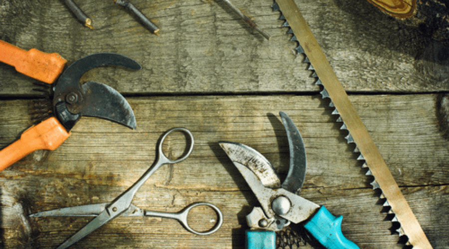 How to Sharpen Pruning Shears with the Help of a File