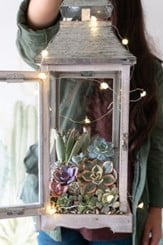 Lantern Terrarium with Fairy Lights