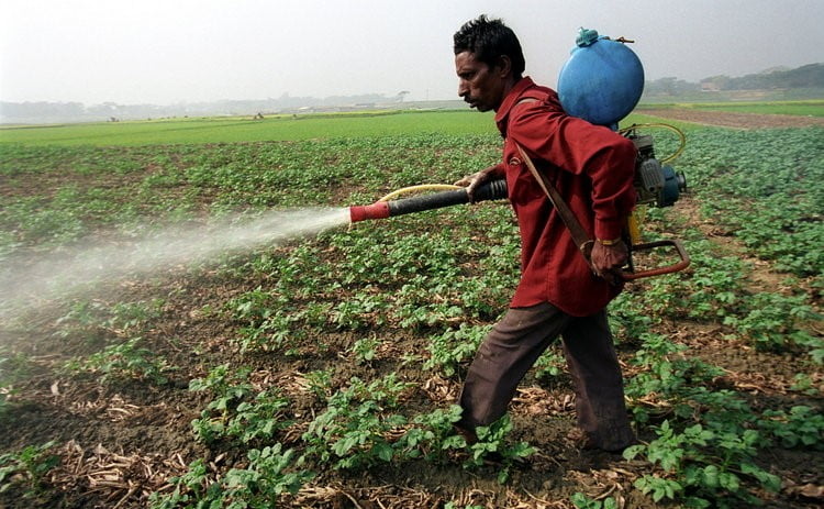 Liquid Fertilizer