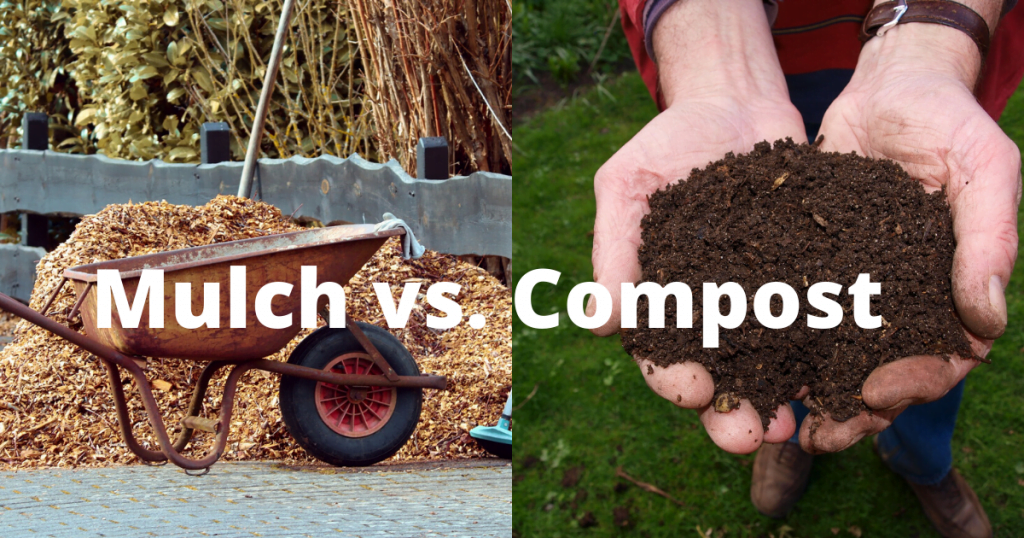 Mulch vs. Compost: What's the Difference & Which is the Best 