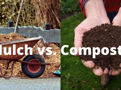 Mulch vs. Compost: What's the Difference & Which is the Best 