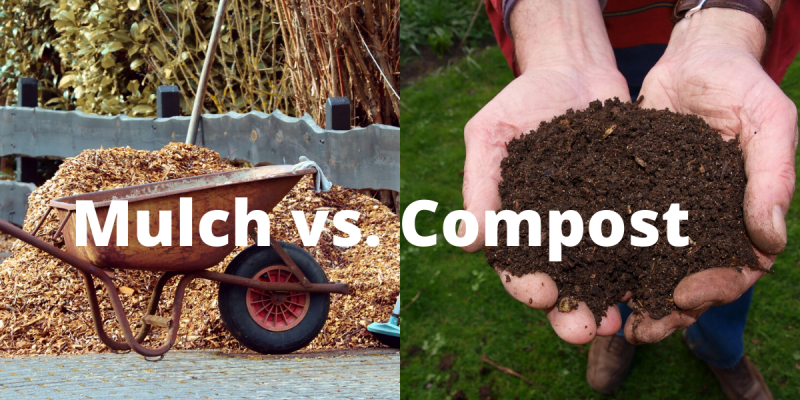 Mulch vs. Compost: What's the Difference & Which is the Best 