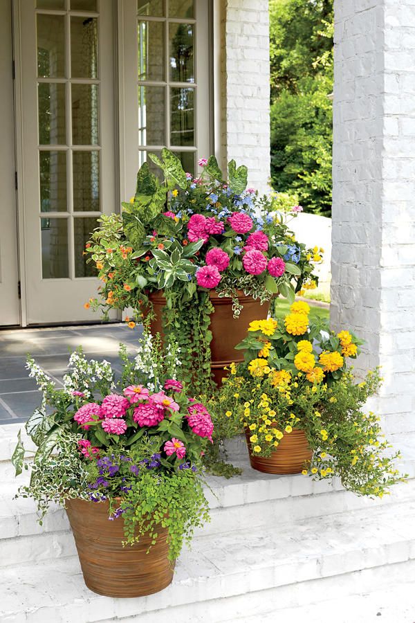 Opt for Container Gardens