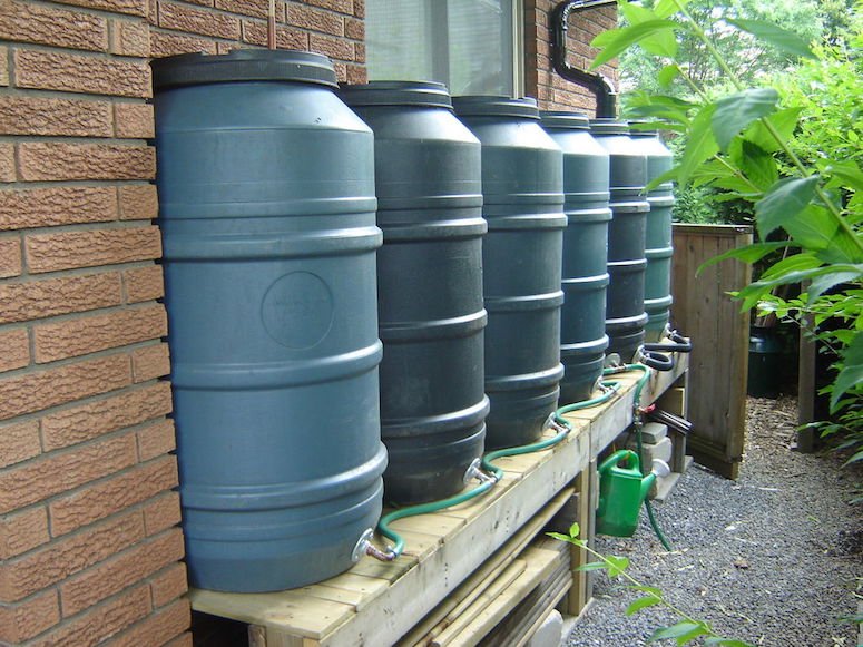 Easy DIY Rain Barrel at Home: A Step by Step Guide | LaptrinhX / News