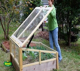 Raised Bed Cold Frame