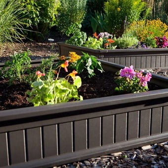 Raised Bed