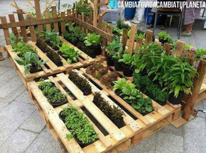 Raised Pallet Garden Bed