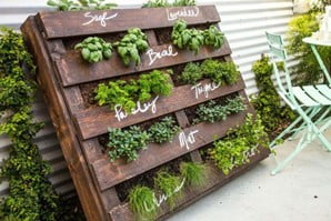 Recycled Pallet Vertical Herb Garden