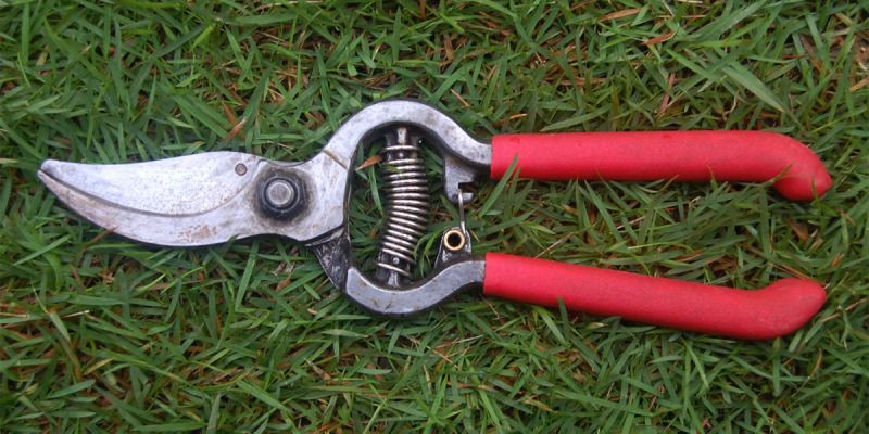 Sharpening Pruning Shears With the help of a File