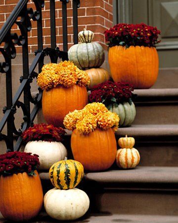 The Pumpkin Decor