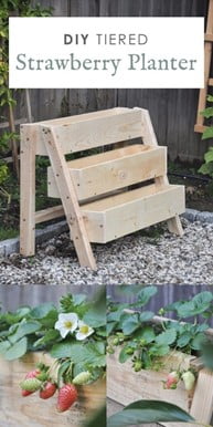 Tiered Strawberry Planter