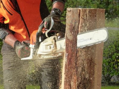 What Size Chainsaw Do I Need?