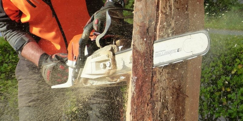 What Size Chainsaw Do I Need?