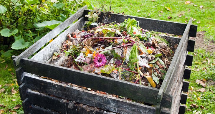 What to Compost Around the House