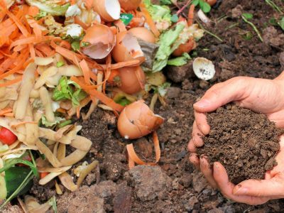 What to Compost or What Not to Compost