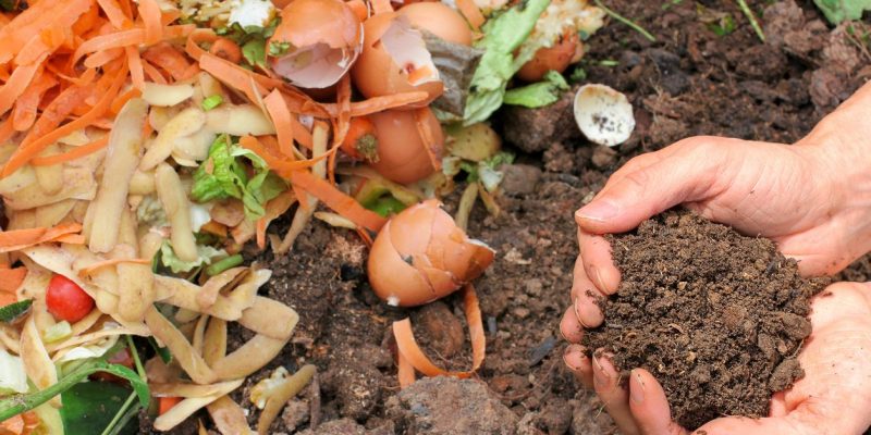 What to Compost or What Not to Compost