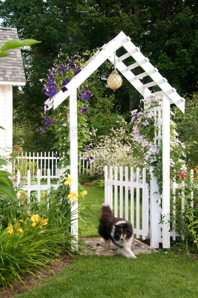 Fence in your Yard