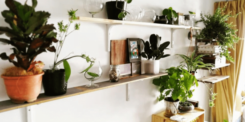 12 DIY Plant Stands & Shelves to Showcase Your Indoor Garden 