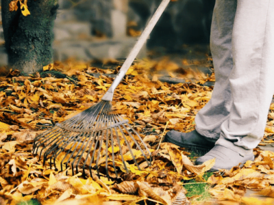 14 Top Leaf Raking Hacks Every Homeowner Should Know 