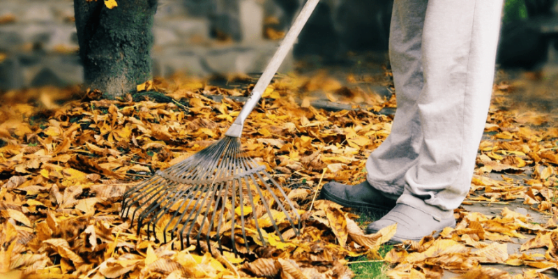 14 Top Leaf Raking Hacks Every Homeowner Should Know 