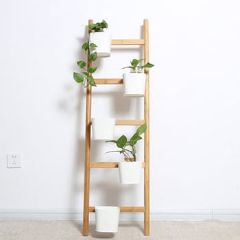 Bamboo Ladder