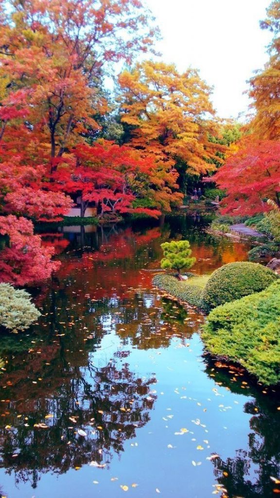 Beautiful Landscape Japanese Garden