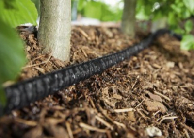 Bury Your Garden Hose Underground