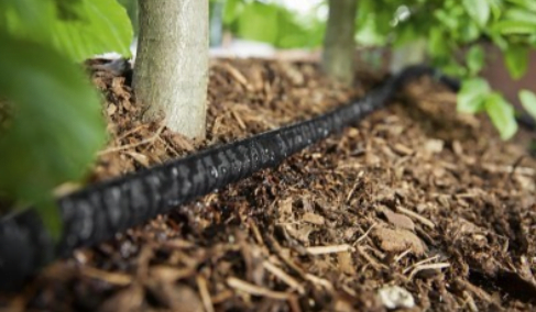 Bury Your Garden Hose Underground