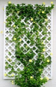 Caged Vertical Planter