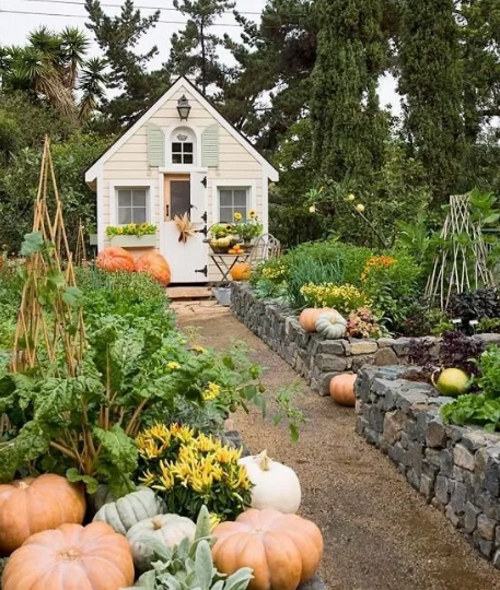 Charming Cottage Shed