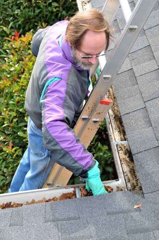 Clean Gutter Guard