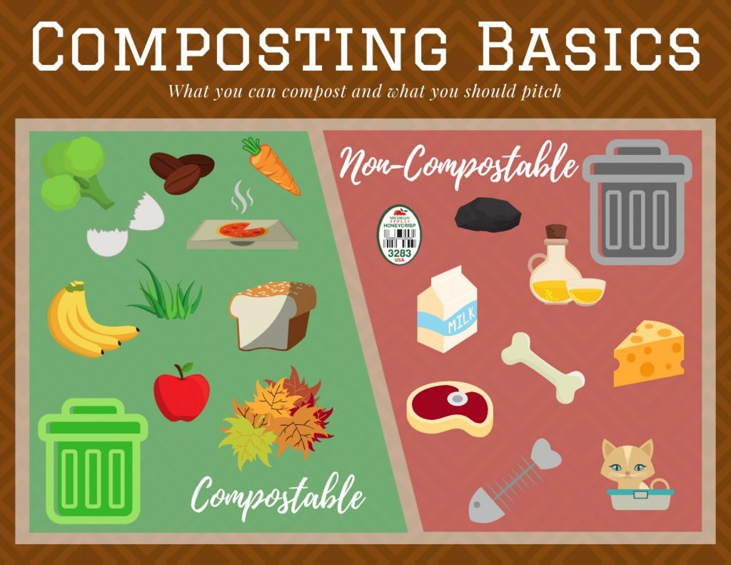 Composting Basics