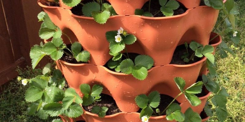 Composting Garden Tower vs. Aeroponic Tower Garden