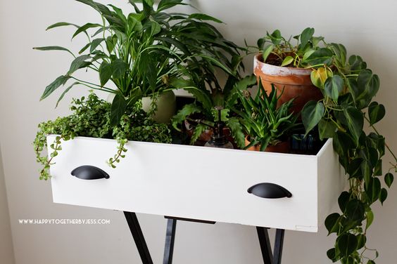 DIY Upcycled Drawer Plant Stand