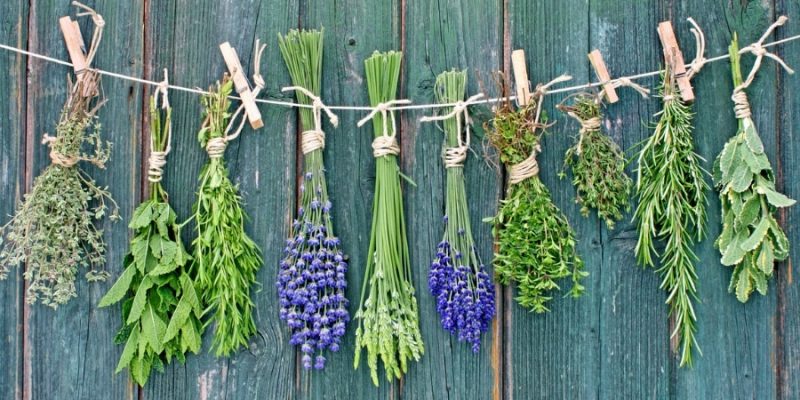 Everything You Need to Know About Herb Substitutes