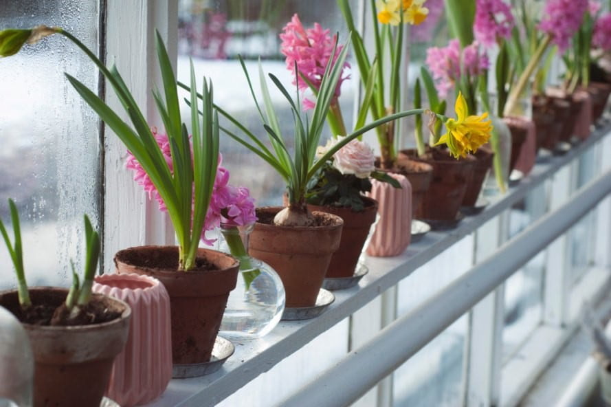 Garden on Railings