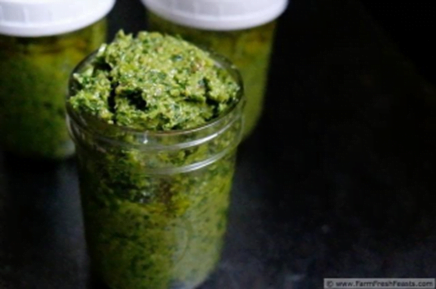 Garlic Scape Pistachio Pesto