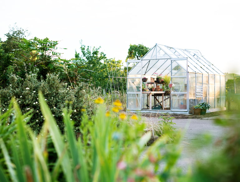 Greenhouse Supporting Wildlife