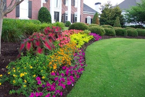 Patterned Flower Hedges 