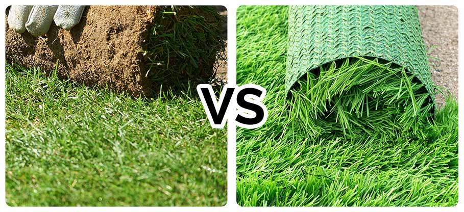 Real Grass vs Artificial Turf!