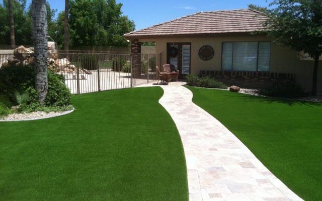 Real vs. Artificial Turf! The Battle of Gardens!