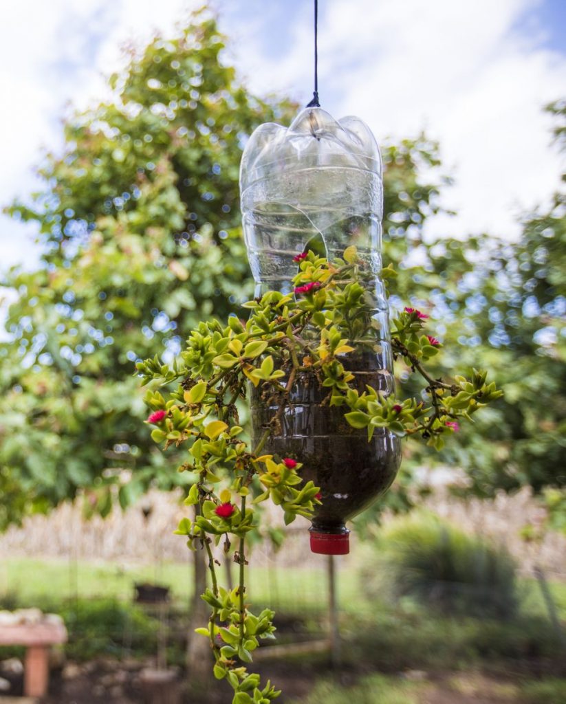 Recycling Bottles