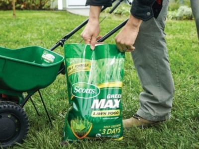 Revive Lawn Treatment Review: Organic Granules