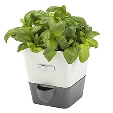 Self-Watering Herb Pot