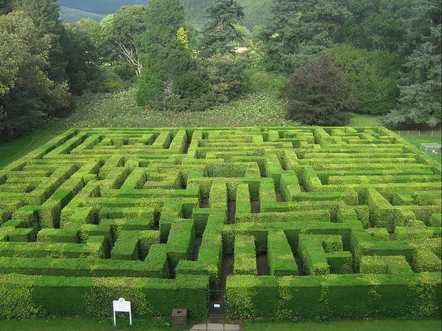 Shrub Maze!