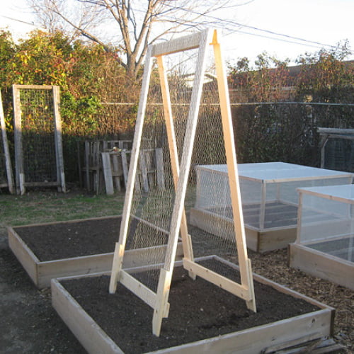 Simple DIY A-Frame Trellis