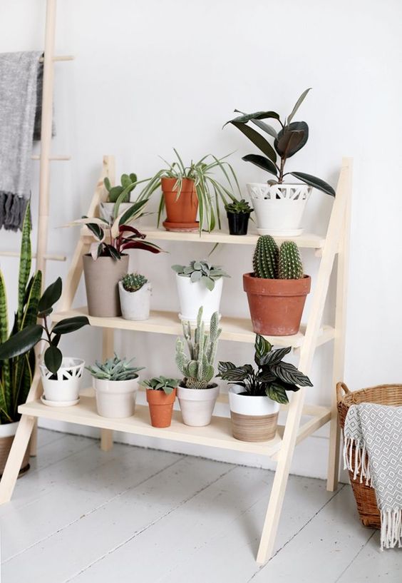 Simple Ladder Plant Stand