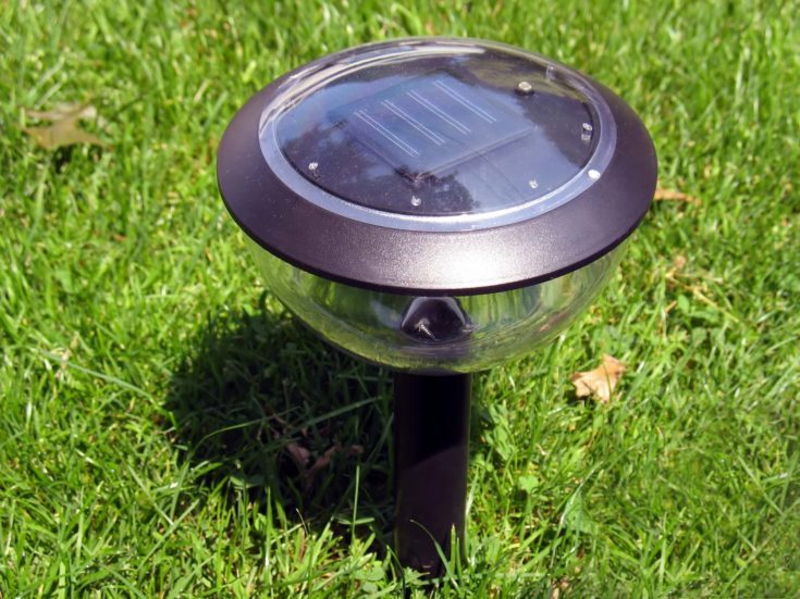 Solar Light in Garden